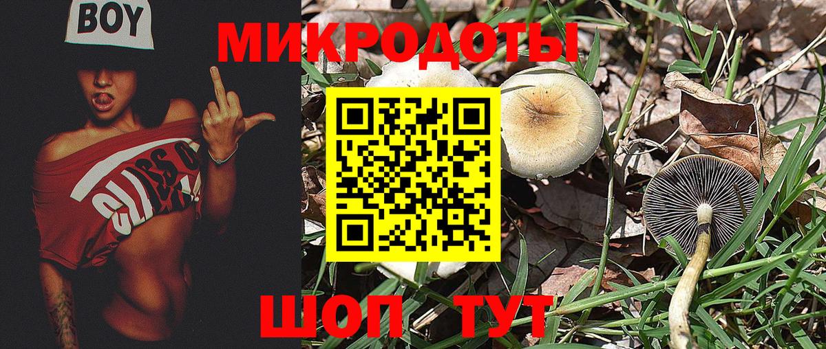 Псилоцибиновые грибы прущие грибы  Вход с VPN  Кувандык 