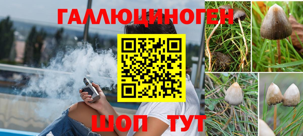 Псилоцибиновые грибы GOLDEN TEACHER Кувандык
